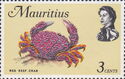 Red Reef Crab (Zosimus aeneus)