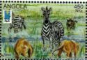 Zebra (Equus sp.) and Two Lions (Panthera leo)