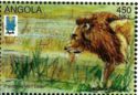 Lion (Panthera leo)