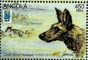 African Wild Dog (Lycaon pictus)