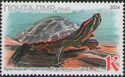 Red-Eared Turtle (Trachemys scripta elegans)