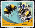 Bees