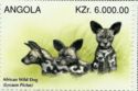 African Wild Dog (Lycaon pictus)
