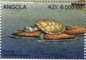 African Helmeted Turtle (Pelomedusa subrufa)