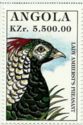 Lady Amherst's Pheasant (Chrysolophus amherstiae)