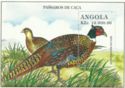 Ring-necked Pheasant (Phasianus colchicus)