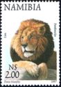 Lion (Panthera leo)