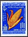 Corn (Zea mays)