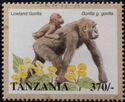 Western Lowland Gorilla (Gorilla gorilla gorilla)