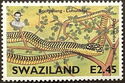 Boomslang (Dispholidus typus typus)