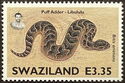 Puff Adder (Bitis arietans arietans)
