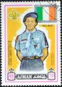Irish Scout