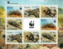 WWF - Pangolin (Smutsia temmincki)
