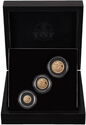 Various Sovereign (Set 2024 Sovereign Three Coins)