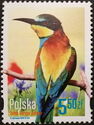 European Bee-eater (Merops apiaster)