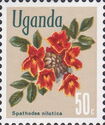 African tulip tree (Spathodea nilotica)