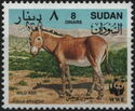 African Wild Ass (Equus africanus)