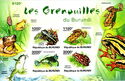 Frogs of Burundi