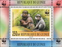 WWF Monkeys Magaby and Baboons