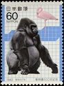 Gorilla (Gorilla gorilla), Flamingo (Phoenicopterus ruber)
