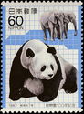 Giant Panda (Ailuropoda melanoleuca), Afrikan Elephant (Loxo