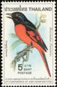 Scarlet Minivet (Pericrocotus flammeus)