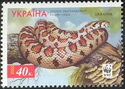 Leopard Snake (Elaphe situla)