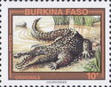 West African Crocodile (Crocodylus suchus)