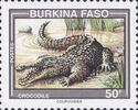 West African Crocodile (Crocodylus suchus)