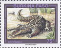 West African Crocodile (Crocodylus suchus)
