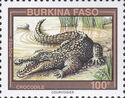 West African Crocodile (Crocodylus suchus)