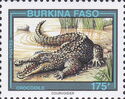 West African Crocodile (Crocodylus suchus)