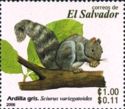Variegated Squirrel (Sciurus variegatoides)