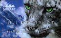 RSK Bank Social Card. Snow Leopard