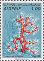 Red Coral (Corallium rubrum)