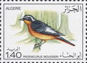 Moussier's Redstart (Phoenicurus moussieri)