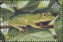 Seychelles Treefrog (Tachycnemis seychellensis)