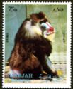 Mandrill (Mandrillus sphinx)