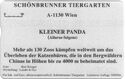 Tiergarten Schönbrunn 6. Kleiner Panda