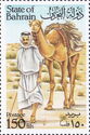Dromedary (Camelus dromedarius)