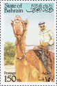 Dromedary (Camelus dromedarius) and Rider