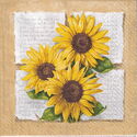 Sunflower poetry (Paper Design)