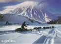 Kamchatka. Dog Sled Races