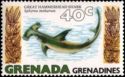 Great Hammerhead (Sphyrna mokarran)