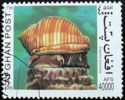 Helmet Snail (Cassis sulcosa)