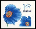 Himalayan Blue Poppy (Papaver betonicifolium)