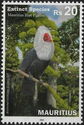 Mauritius Blue Pigeon (Alectroenas nitidissimus)