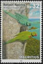 Rodrigues Parakeet (Necropsittacus rodricanus)
