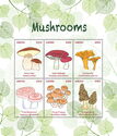 Mushrooms