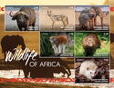 Wildlife of Africa